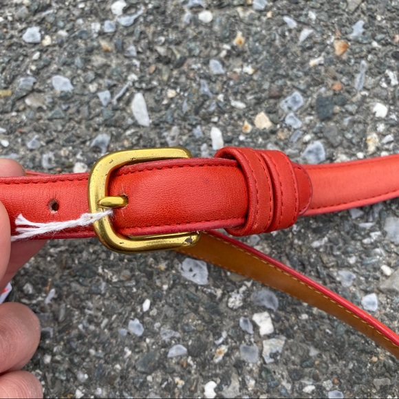 Coach belt 3/4” - Picture 1 of 3